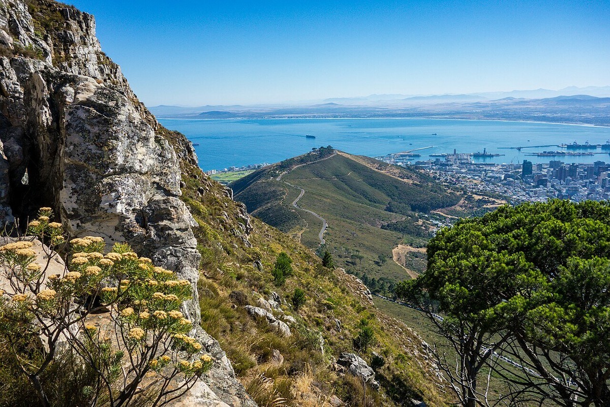 Кейптаун — второй по численности город страны и самый посещаемый туристами мегаполис Южной Африки. Сюда приезжают посмотреть на гавань, мыс Доброй Надежды, Столовую гору. Фото: Visions of Domino / Wikimedia