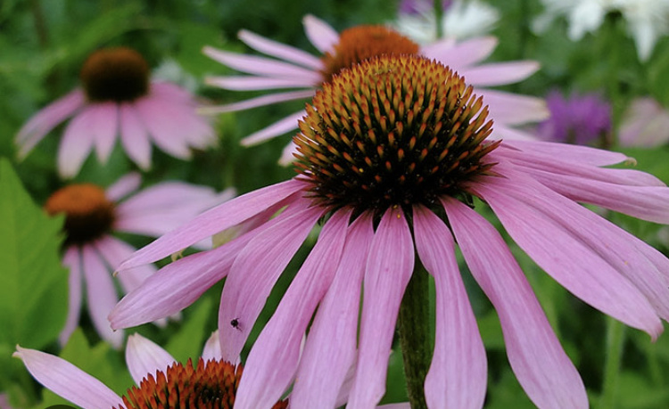 Интернет, для наглядности