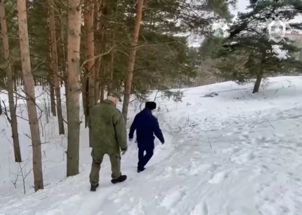    Пропавшая в Смоленске девочка найдена живой