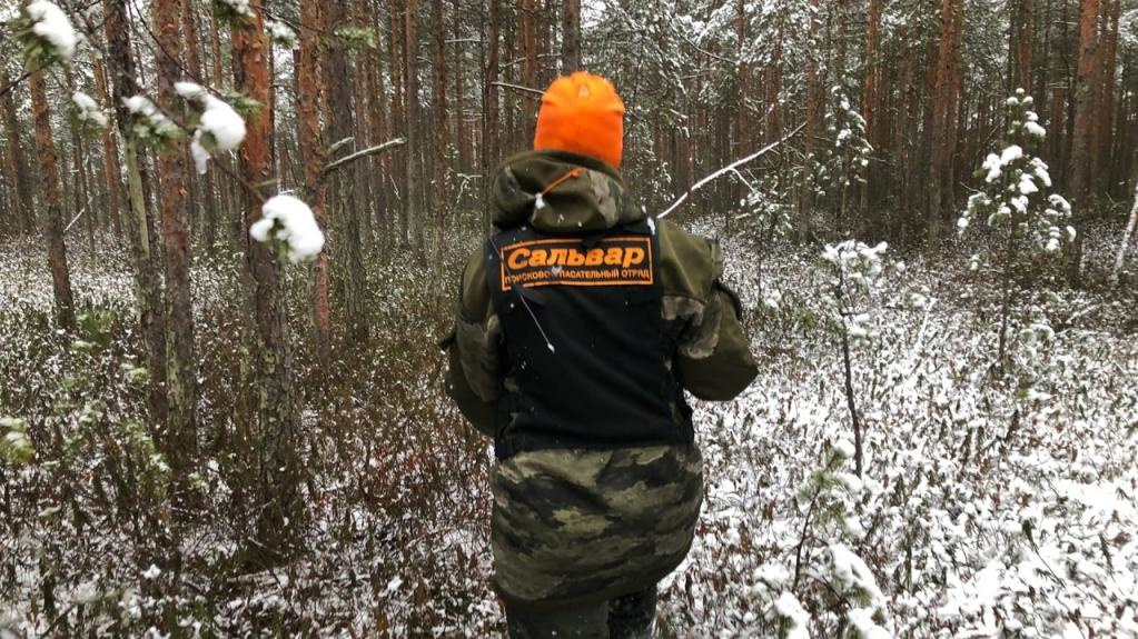    Смоленская обл поиски Владислава Бахова поисковик