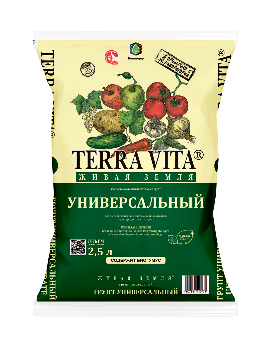 Фото для примера - без проверки качества