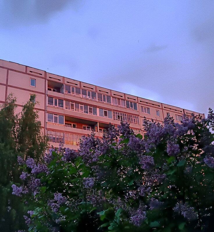 #романтика #любовь #студенты #май #зависть