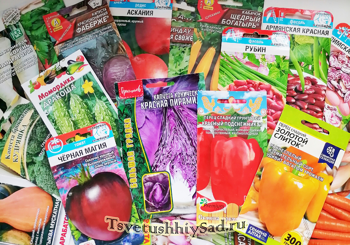 Почти все эти семена для меня новинки, которые буду выращивать в этом 2026 году.