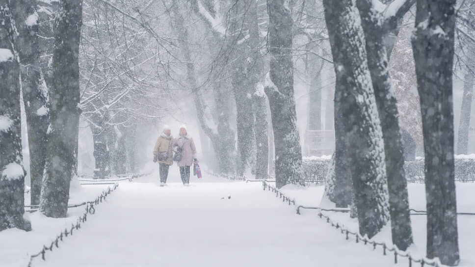  Санкт-Петербург сегодня завалило снегом