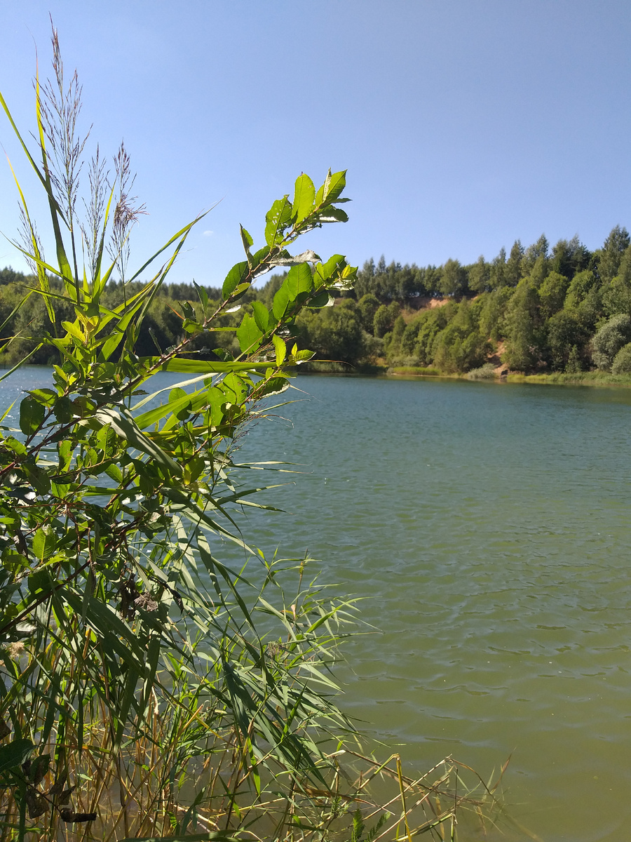 Наши деревенские озера