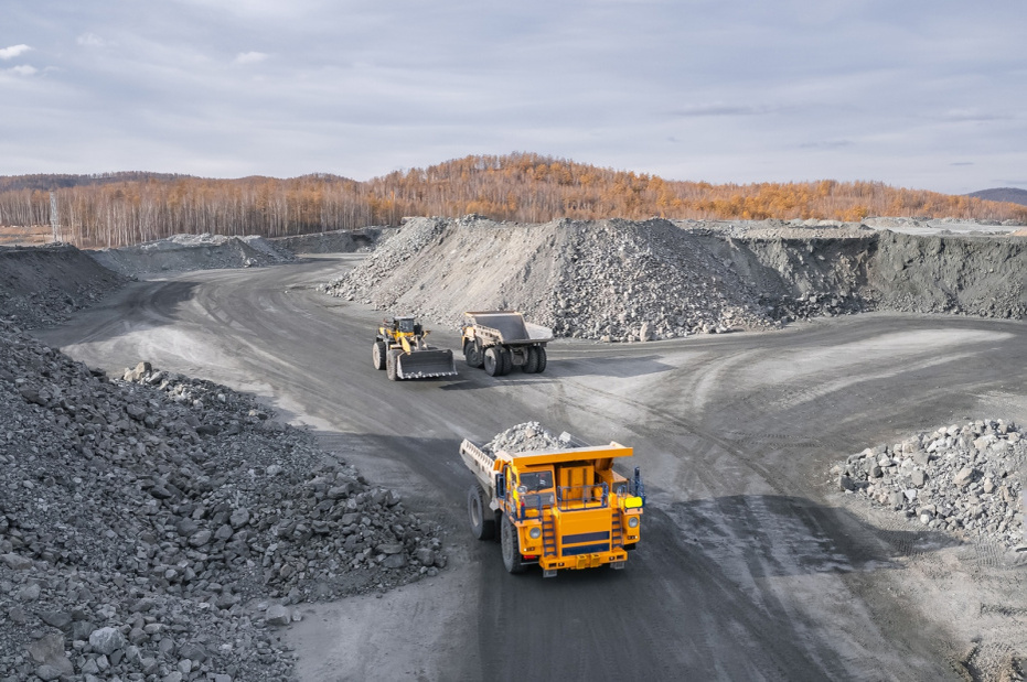    Shutterstock/FOTODOM