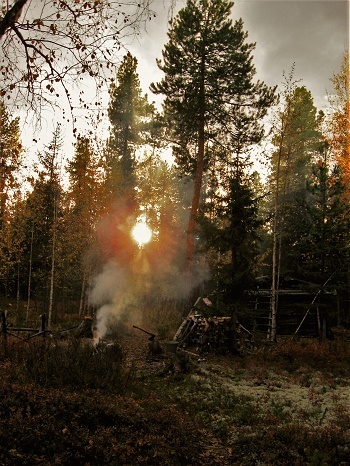 Фотографии Татьяны Немшановой разных лет. Осень таёжная, таёжная жизнь, Крайний Север Западная Сибирь Приполярный Урал, Зауралье, ХМАО Югра. 