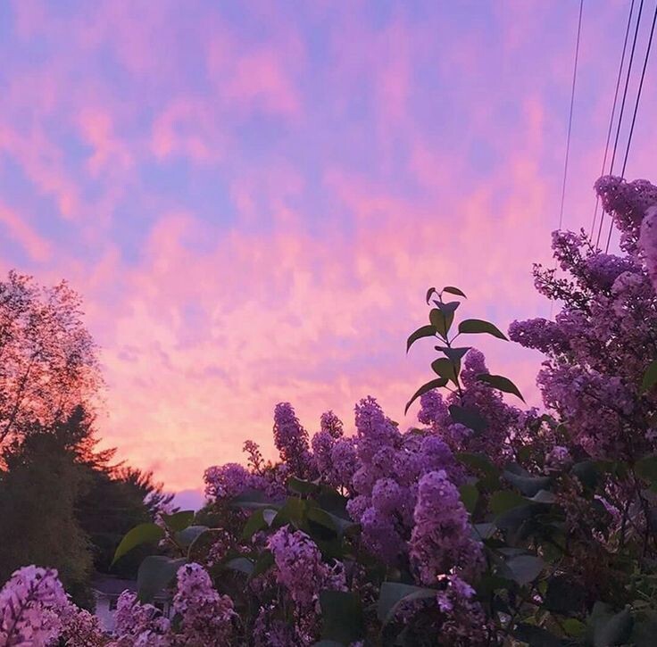 #романтика #любовь #студенты #май #зависть