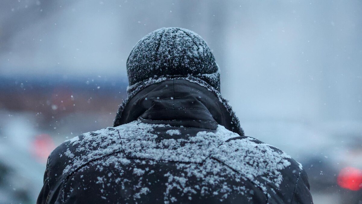    Фото: Belkin Alexey/news.ru