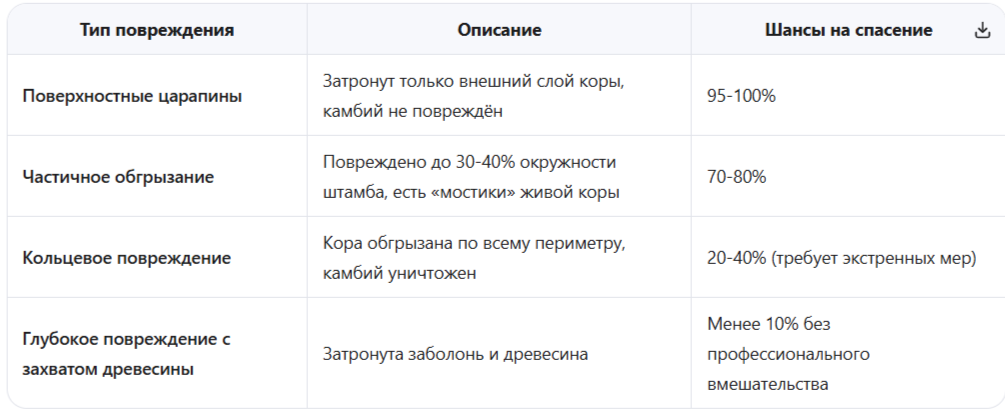 Типы повреждений коры