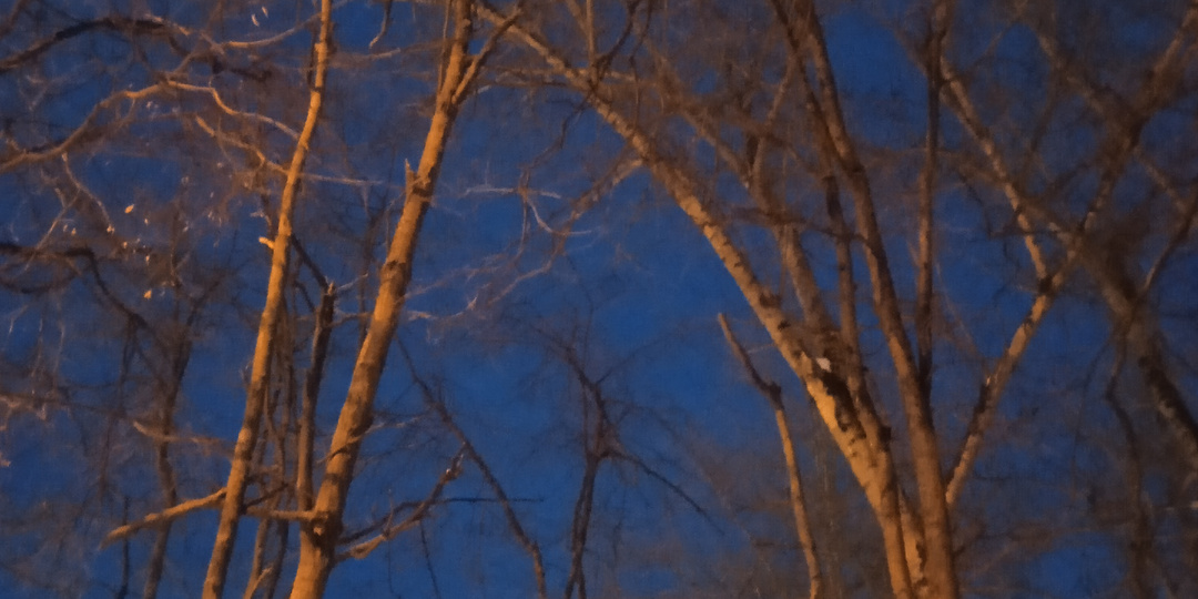 Джульетта встречает весну.