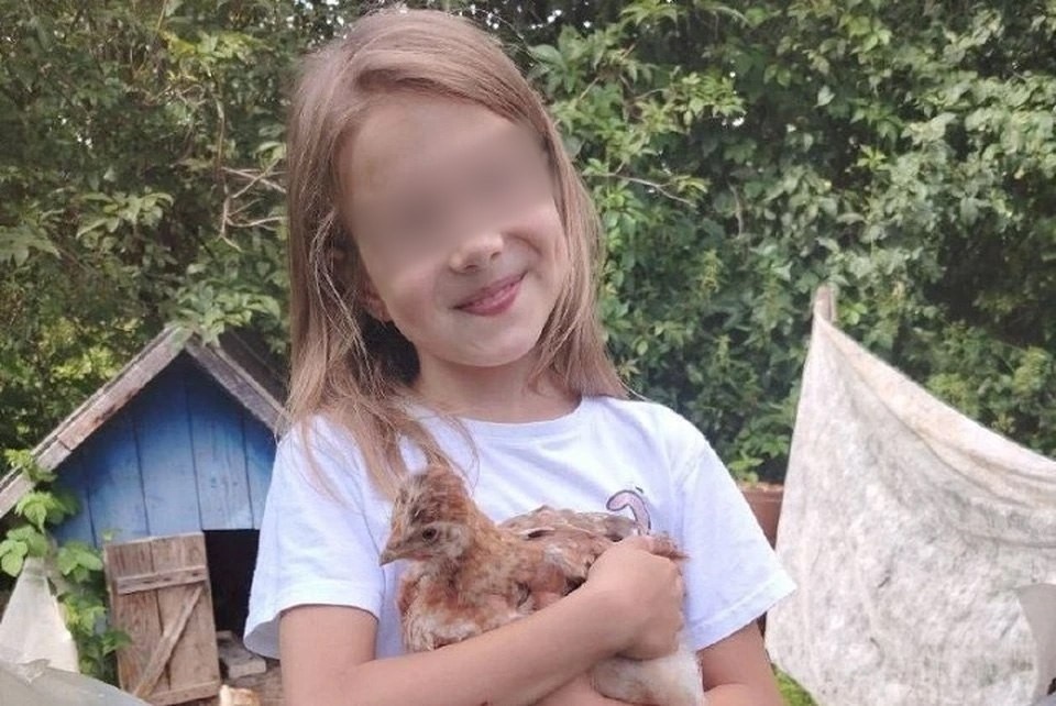    МВД: Пропавшую в Смоленске 9-летнюю девочку нашли в одной квартире с похитителем Фото: Соцсети