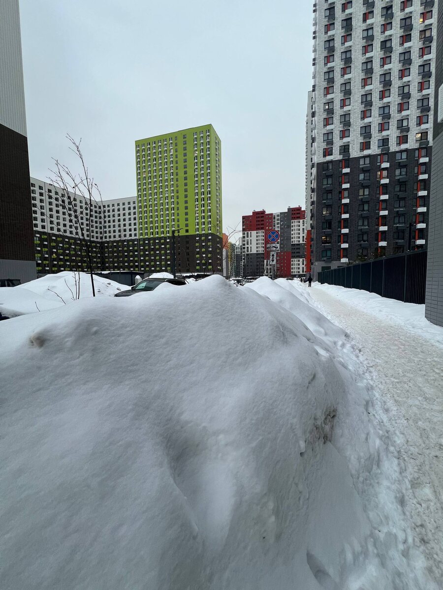 Сугробы 26.02.2026 около моего дома. Московская область, р.п.Дрожжино, Новое шоссе. Из личного архива автора.