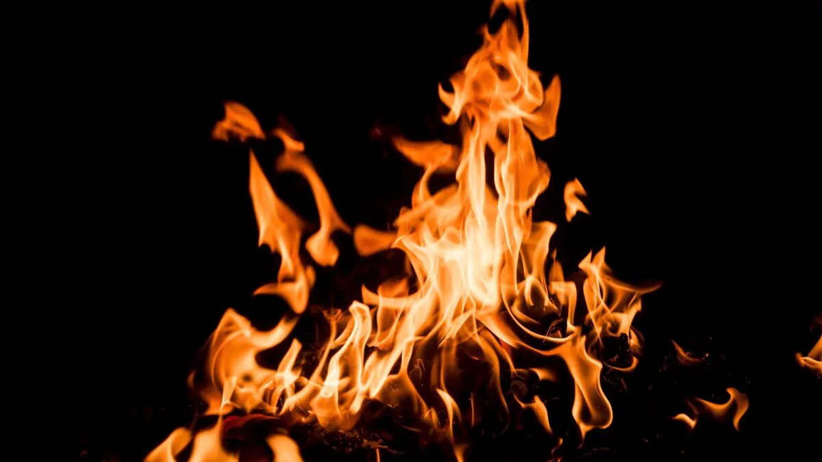    Фото: vm.ru Евгений