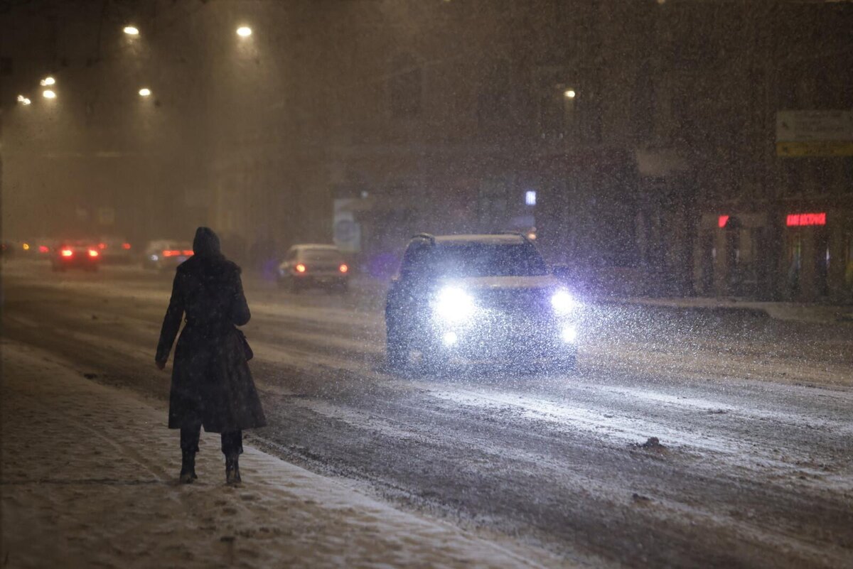 Фото: Роман Пименов/«Петербургский дневник»