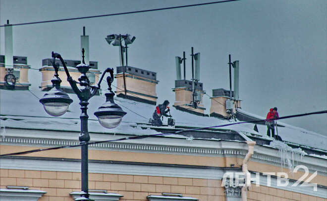    © Анастасия Илюшина / ЛенТВ24, архивное фото