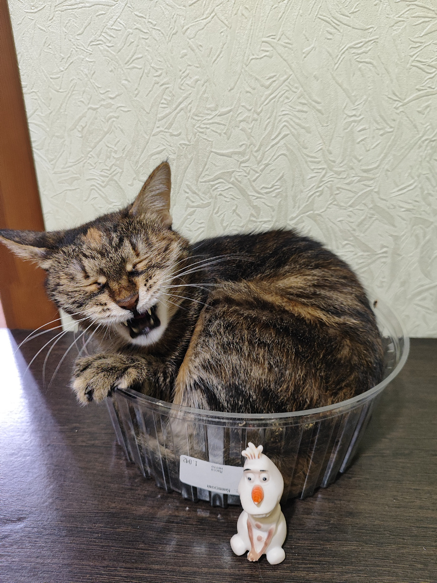 Наверное смеётся на нами.