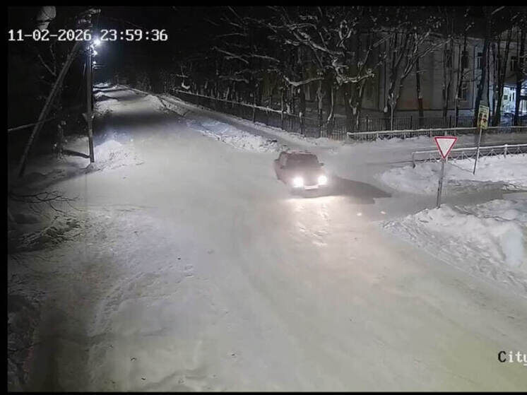     Фото: Скриншот видео от пресс-службы Госавтоинспекции Санкт-Петербурга и Ленобласти.