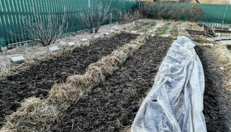 Как быстро прогреть грядки в марте: секреты раннего урожая в открытом грунте