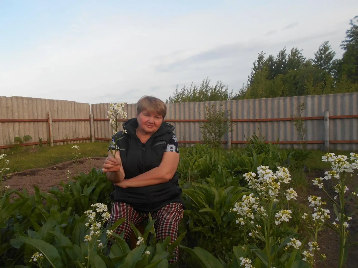 Засадила хреном дачу!
Лучше хрен, чем ни хрена!