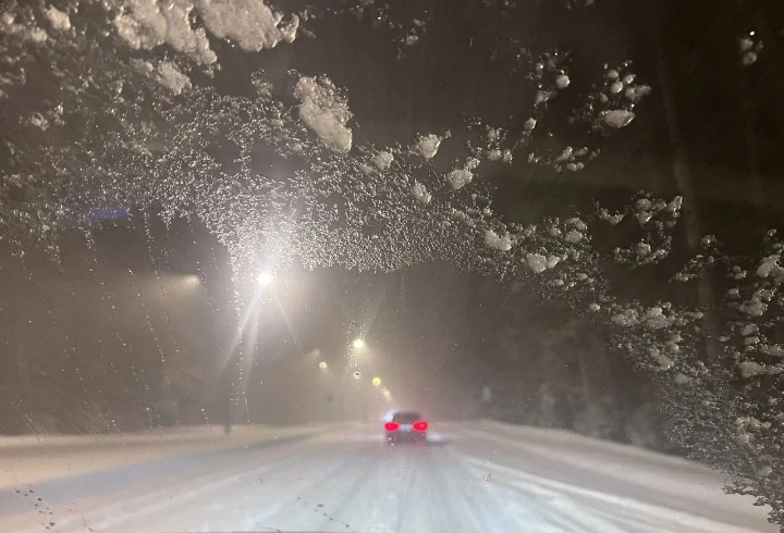 фото: t.me/drozdenko_au_lo