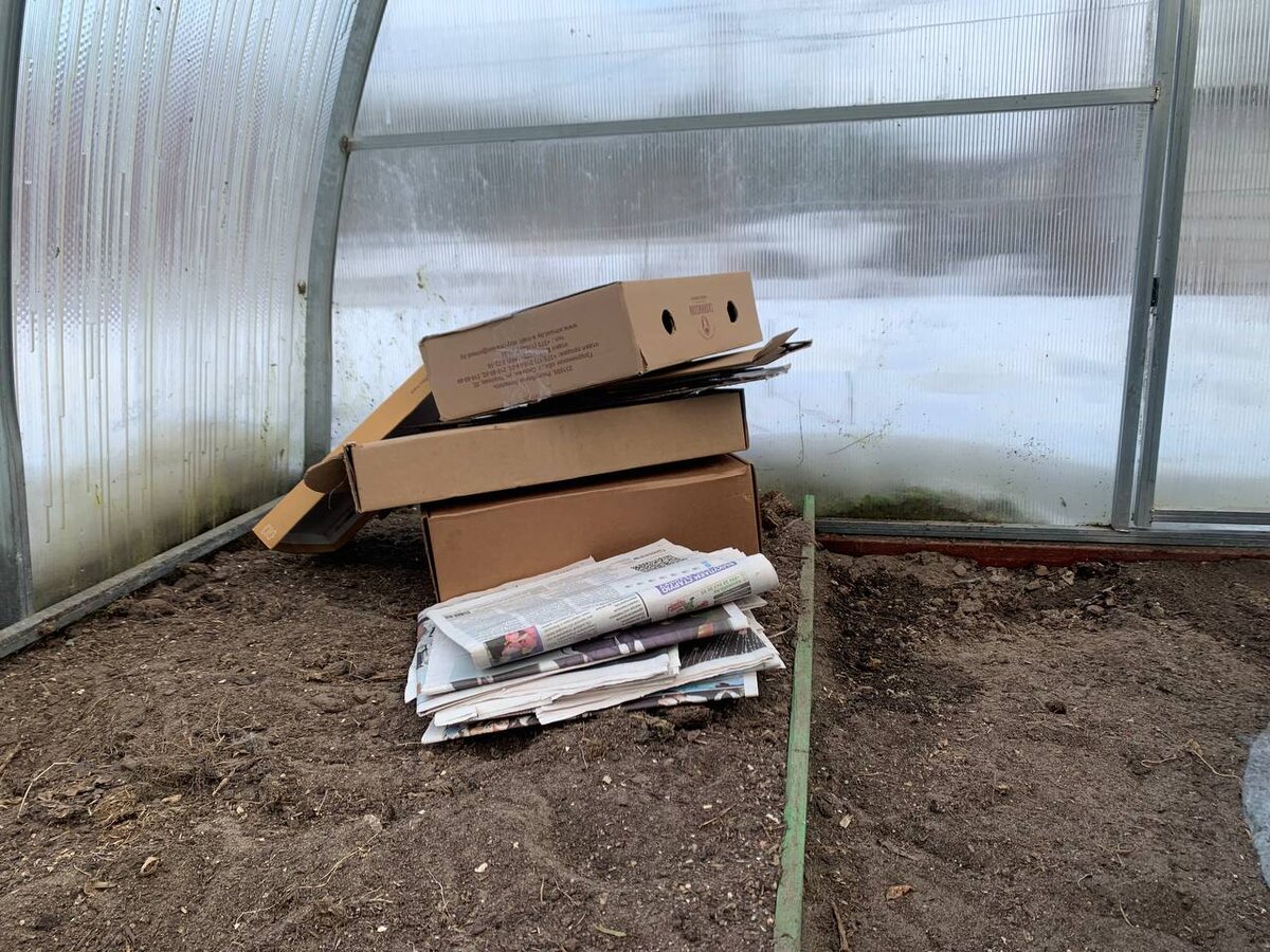 Картонные коробки и старые газеты пойдут в дело. Фото автора 