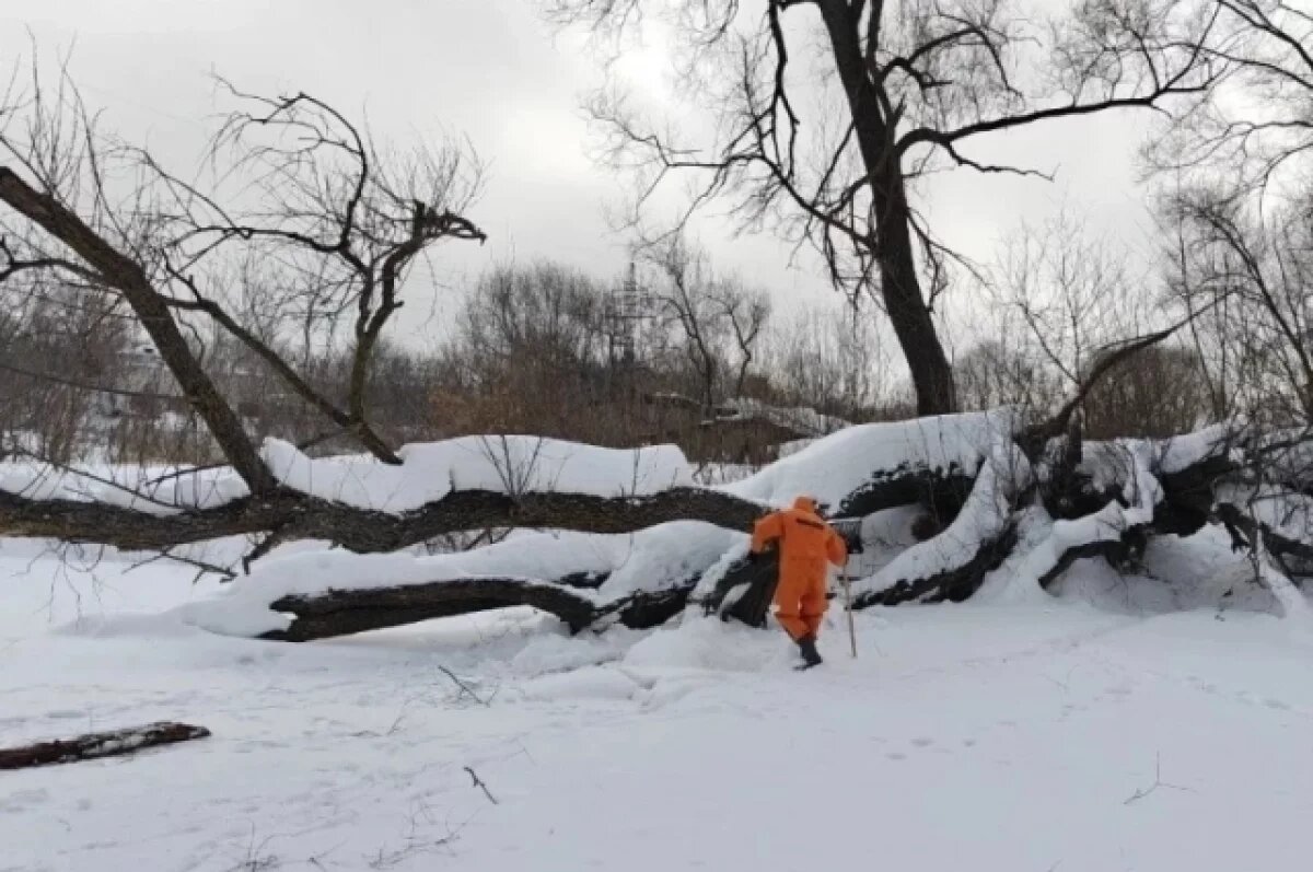    Водолазы достали из Свияги 2 карагача, чтобы защитить Вырыпаевку от паводка