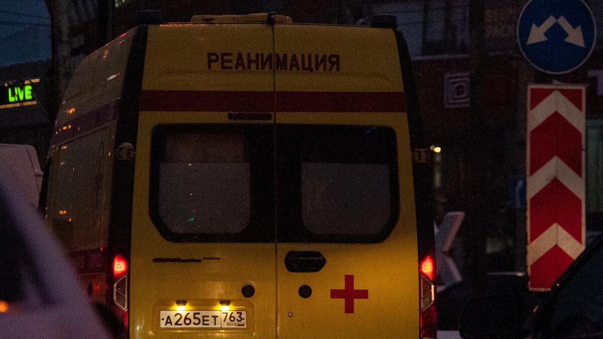    Фото: Svetlana Vozmilova/Global Look Press