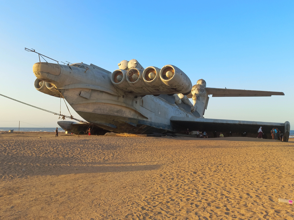 Фото 2022 года