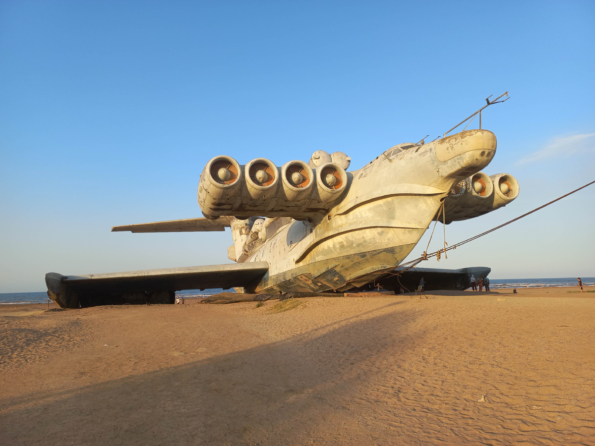 Фото 2022 года