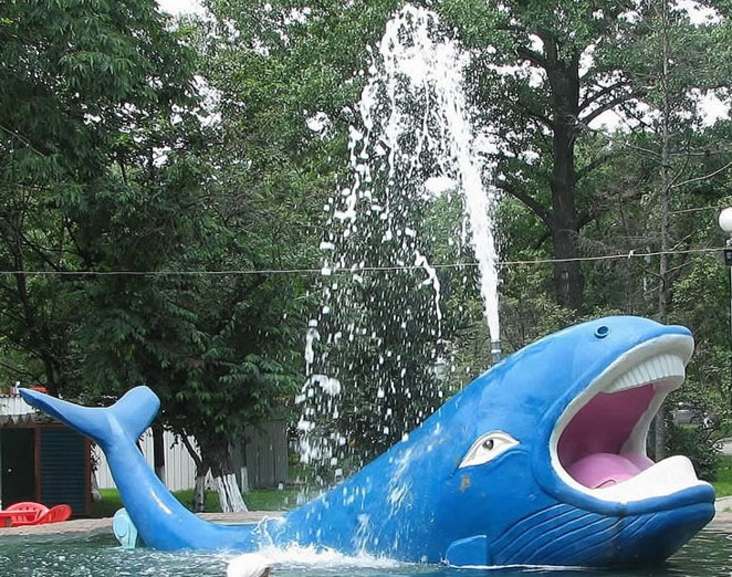 Китовый фонтан. Буквально....  Иногда "фонтаны" представляют именно так - как струю воды, бьющую из макушки животного