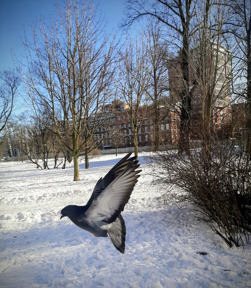 Фото автора