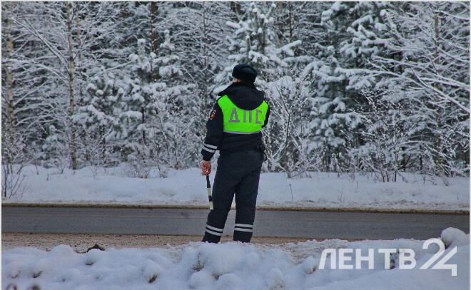    © Анастасия Илюшина / ЛенТВ24, архивное фото