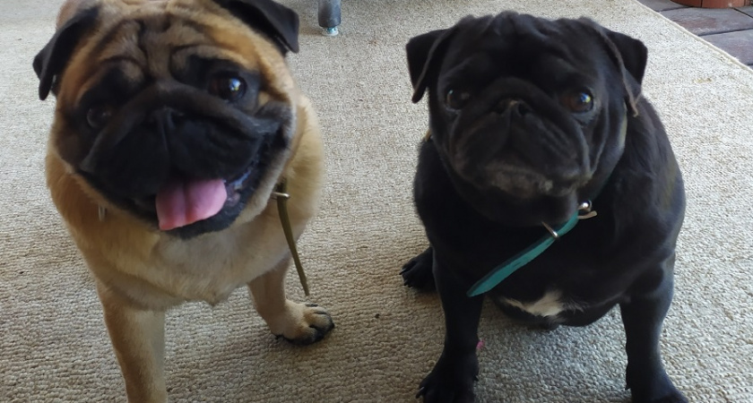    Фото Анастасии Дмитриевой