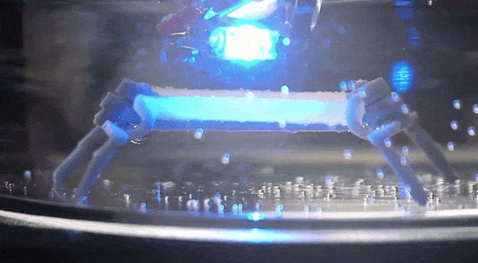   Shotaro Saito et al. / Advanced Robotics Research, 2026