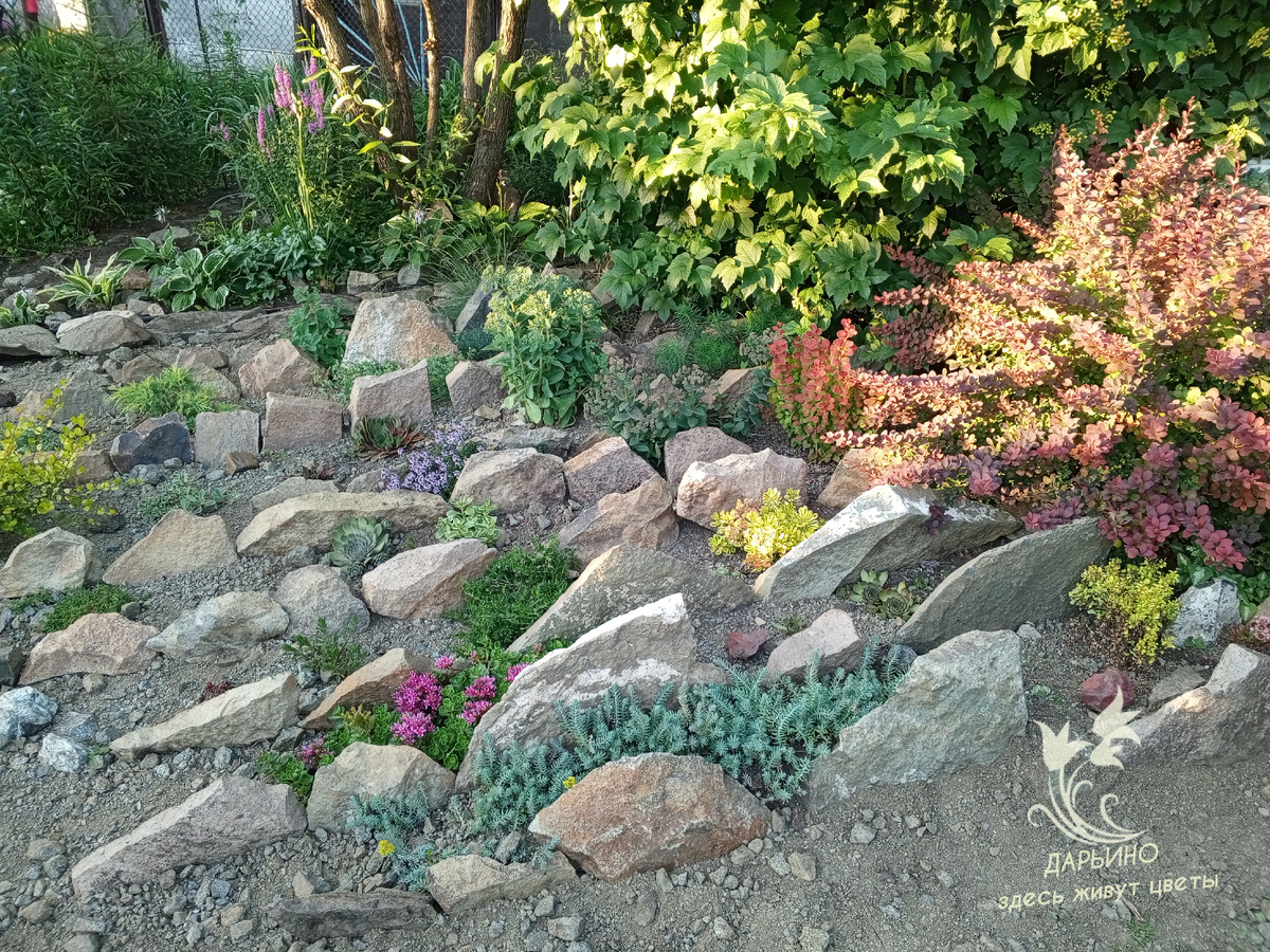 Рокарий. Общий вид