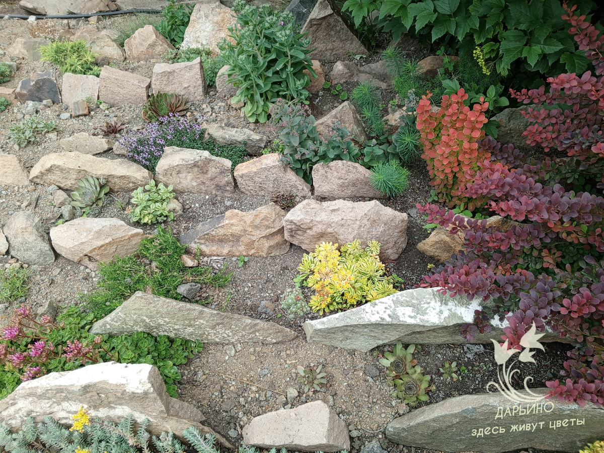 Рокарий. Вид сверху