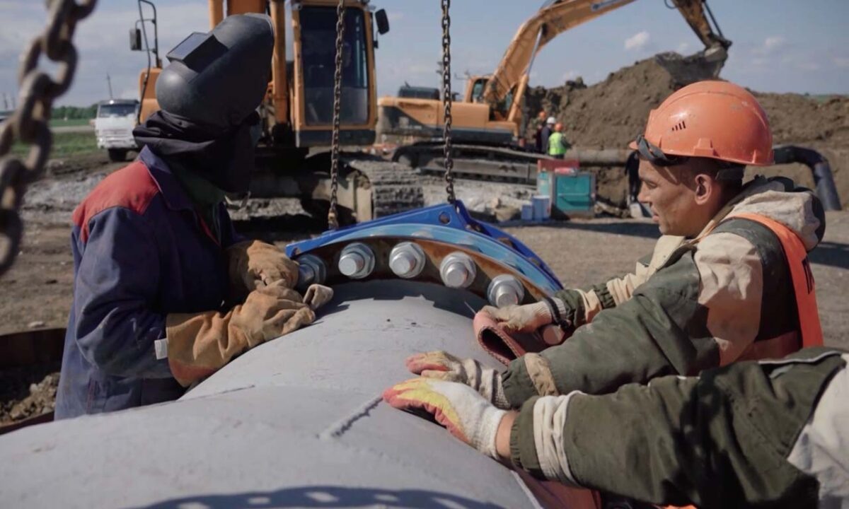    Фото «Кубань 24»