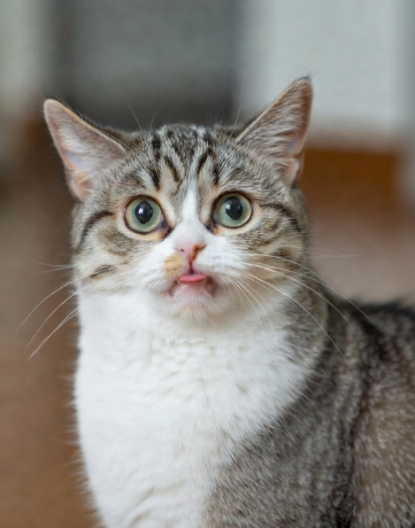 Маруся готовится высказаться.