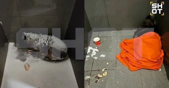 Фото из тг шот---собаку завсегдатаи прозвали Додобоней, она уже полтора года приходит к заведению, чтобы погреться, и никогда не заходит внутрь. Местные описывают собаку как добрую и ласковую, и благодарят пиццерию за заботу о ней. И сами подкармливают. 