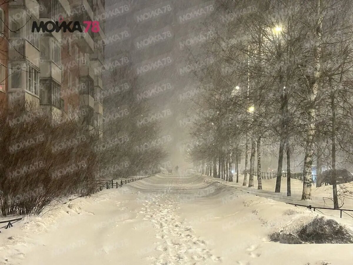    Приморский район вечером 26 февраля. Фото: Мойка78