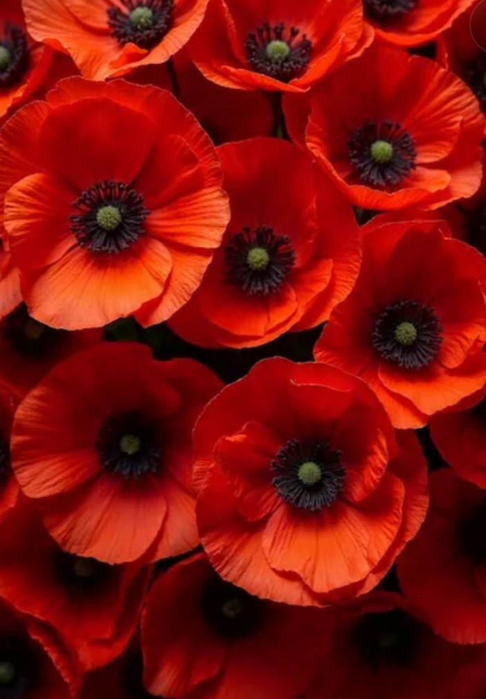 Фото из интернета 