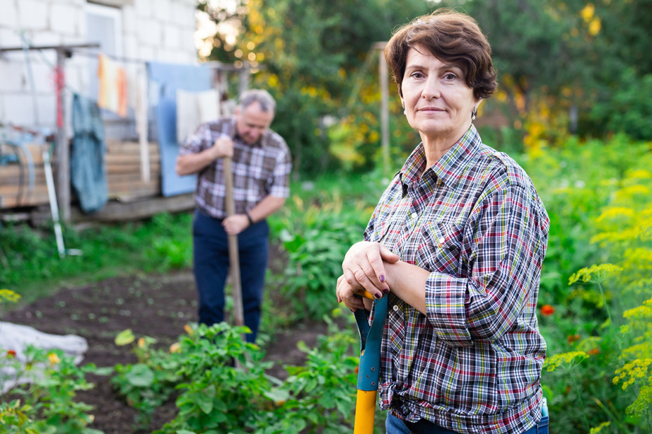    Shutterstock/FOTODOM