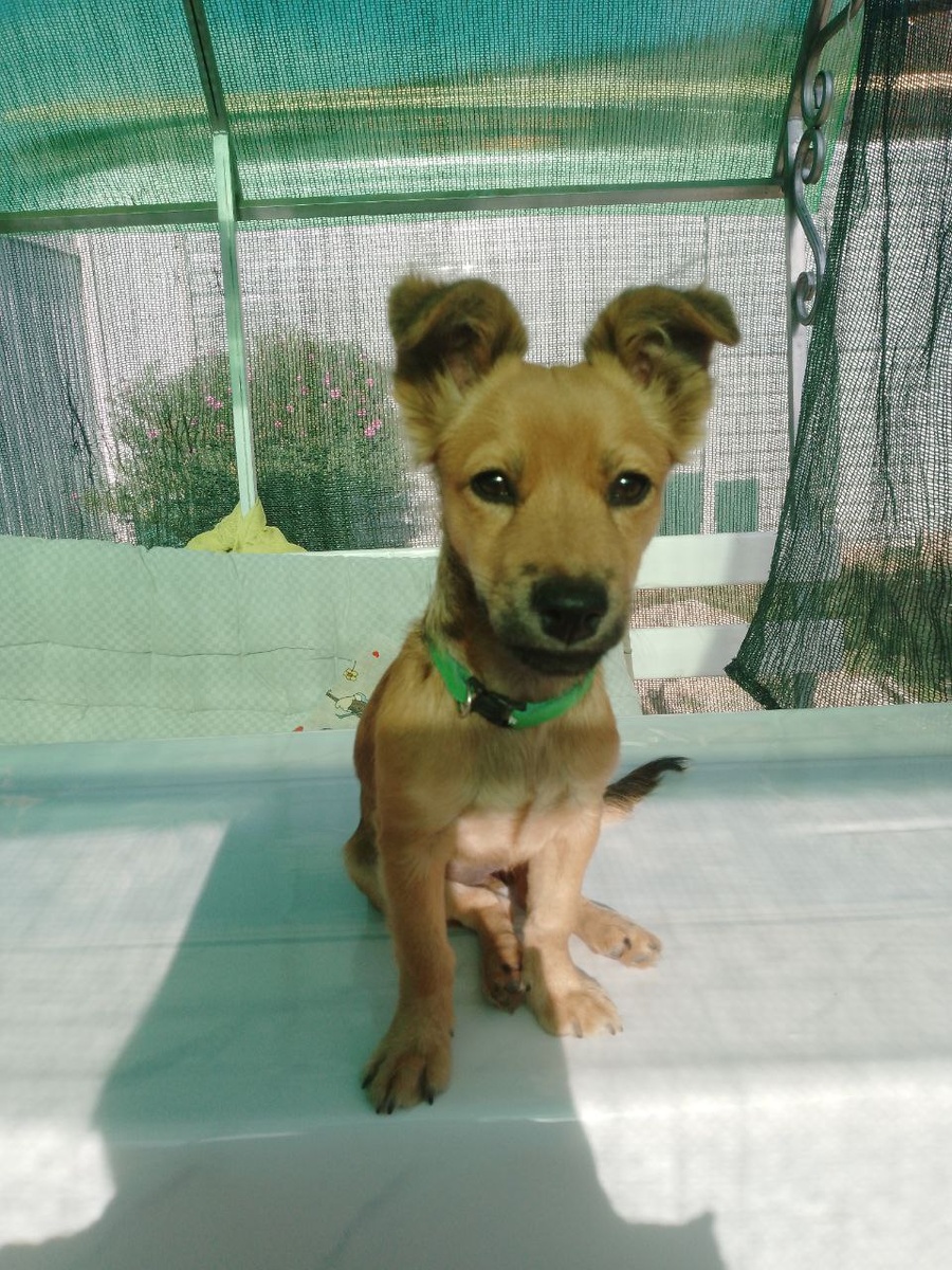 Такая девочка