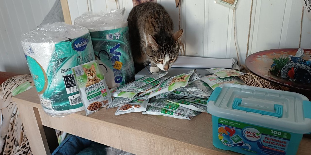 А ещё подарки от нашей феи Юлечки.Гигансткие рулоны, корм, капсулы и гигантская бутылка доместоса.Все супер нужное!!!! Фенечки они такие