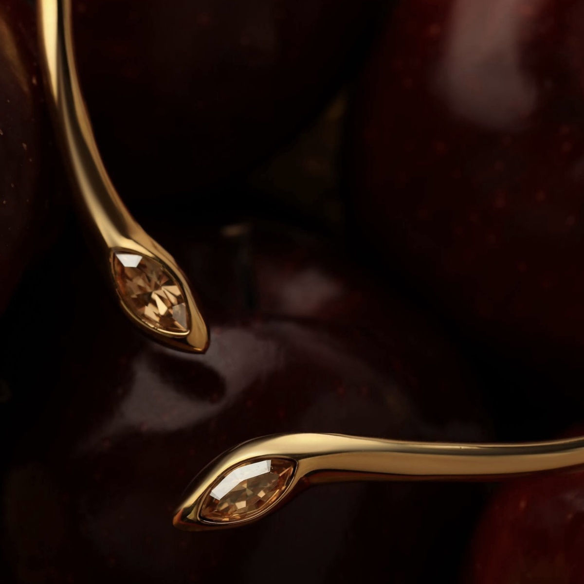 Колье-чокер Эдем 