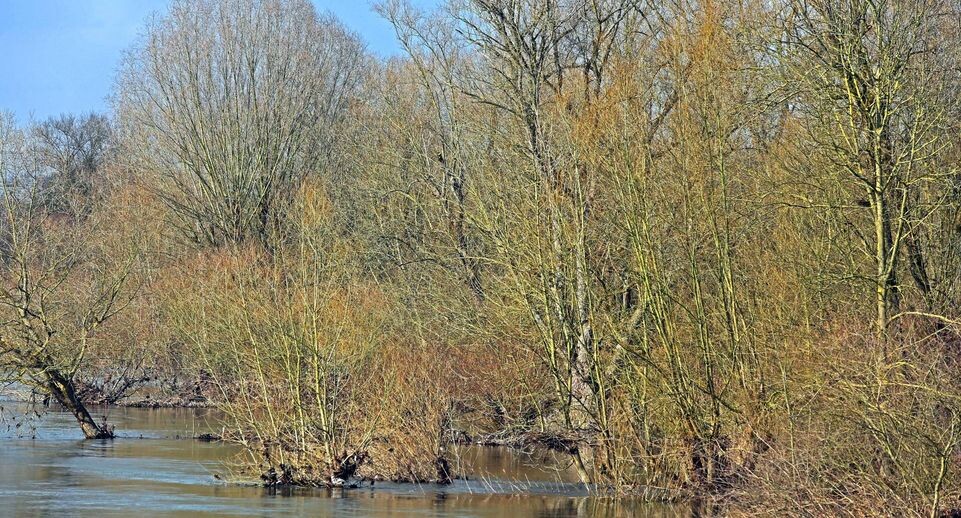    Gottfried Czepluch via www.imago/www.imago-images.de / www.globallookpress.com