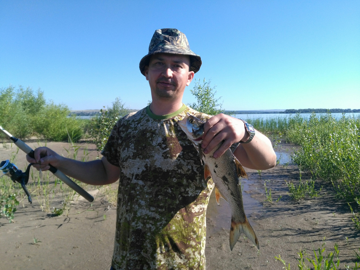 Жерех пойманный на перекате