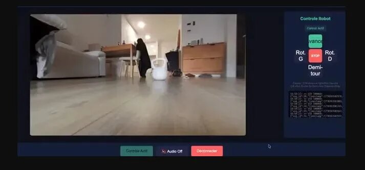   Аздуфал говорит, что мог бы управлять роботами дистанционно и смотреть видео в реальном времени через интернет / фото: www.theverge.com