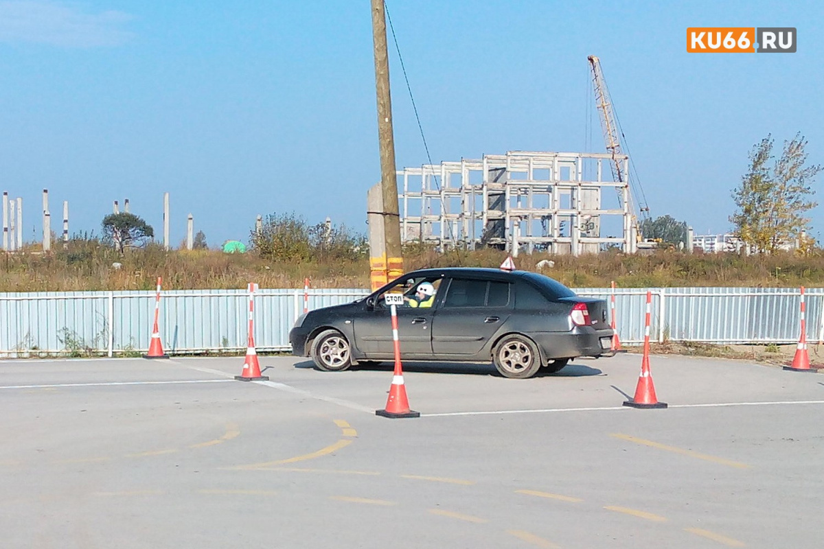    С 1 марта в России меняют обучение водителей: онлайн-теория и новые правила